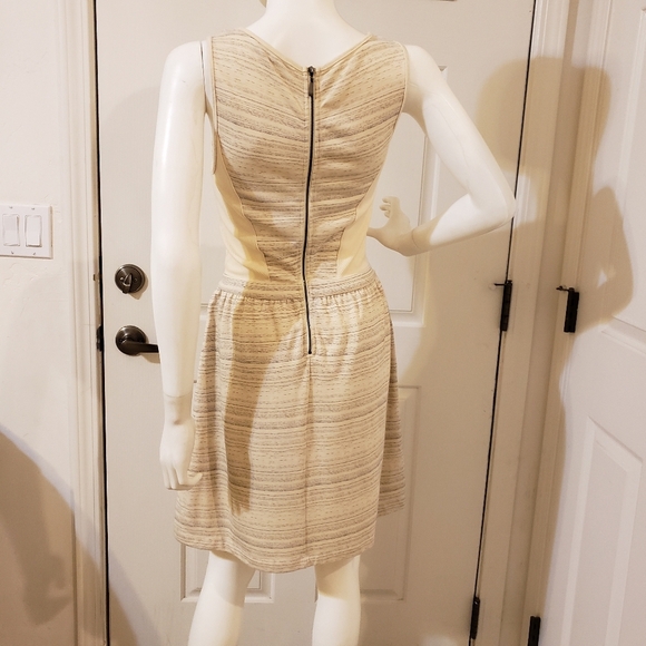 Tart size XS - Picture 4 of 8